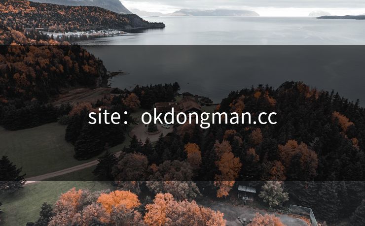 site：okdongman.cc
