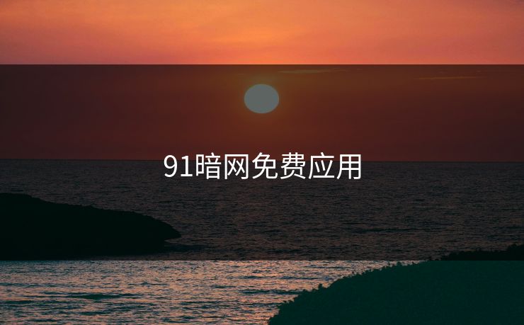 91暗网免费应用